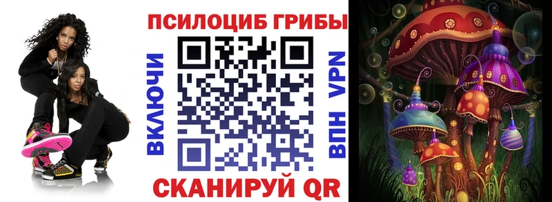 Галлюциногенные грибы Psilocybine cubensis  KRAKEN онион  Новотроицк 