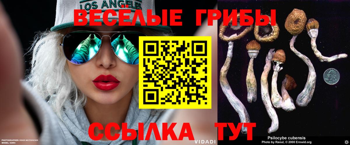 Псилоцибиновые грибы MAGIC MUSHROOMS Новотроицк